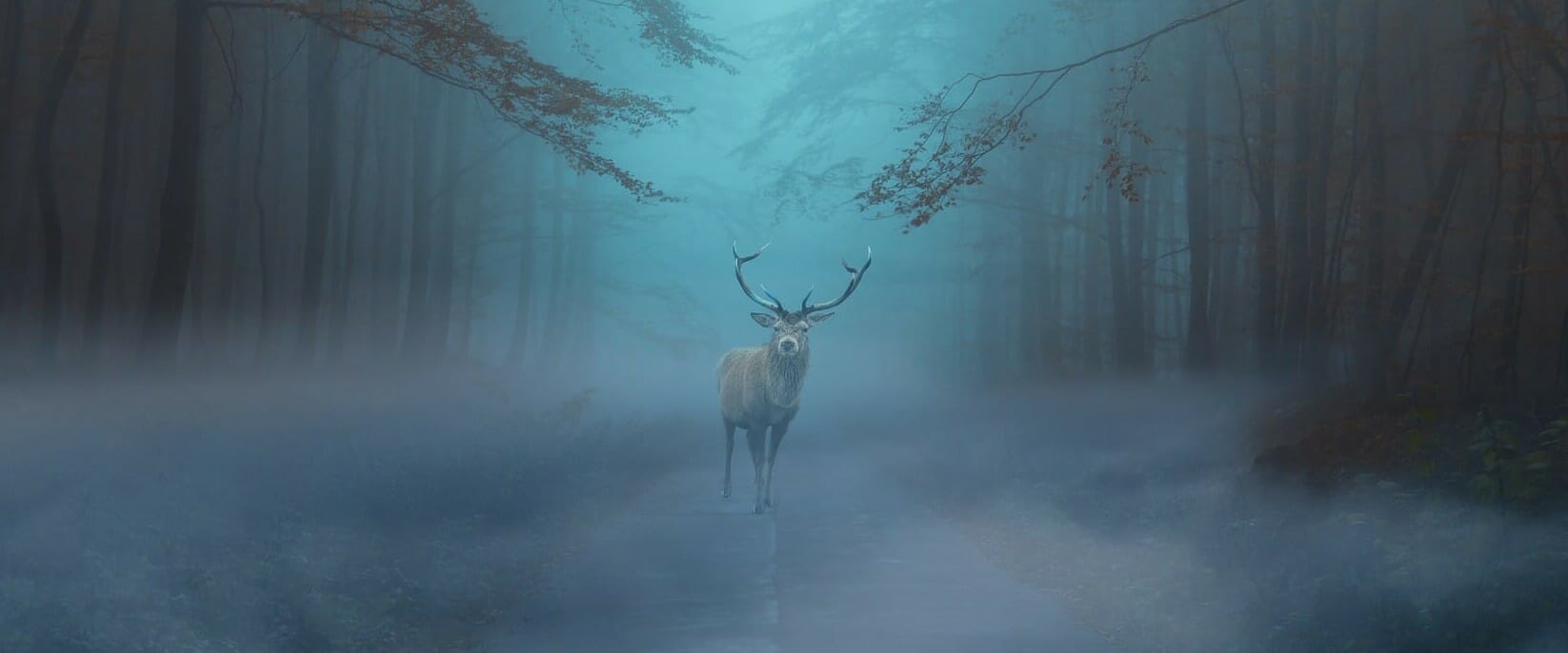 Олень в тумане в лесу